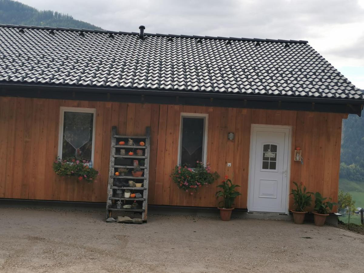 Bergblick Hollnhof Apartman Donnersbach Kültér fotó